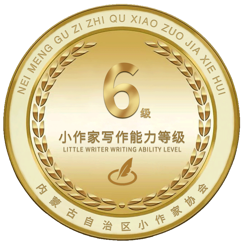 6级