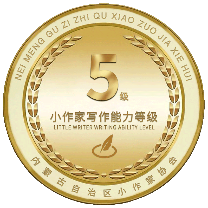 5级